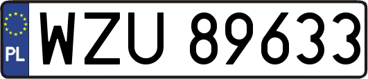 WZU89633