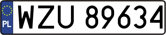 WZU89634