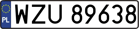 WZU89638