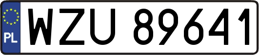 WZU89641