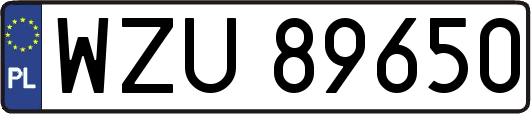 WZU89650