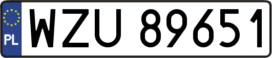 WZU89651