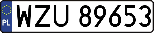 WZU89653