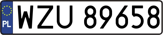 WZU89658