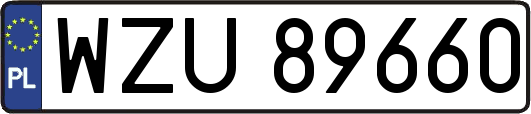 WZU89660