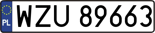 WZU89663