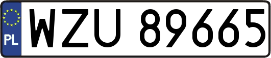 WZU89665