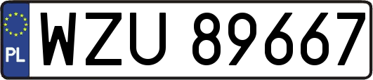 WZU89667