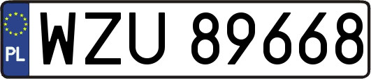 WZU89668