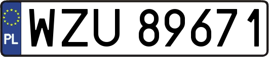 WZU89671