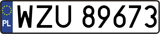 WZU89673