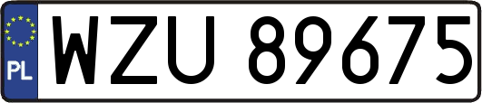 WZU89675