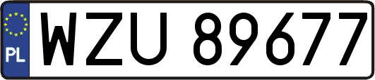 WZU89677