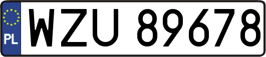 WZU89678