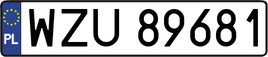 WZU89681