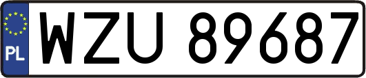 WZU89687