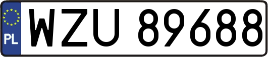 WZU89688