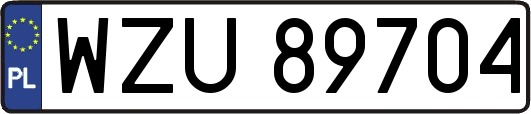 WZU89704