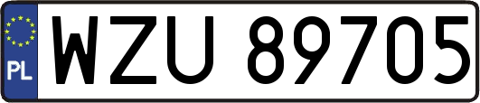 WZU89705