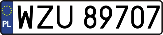 WZU89707