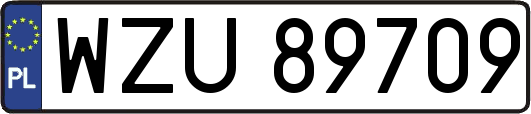 WZU89709