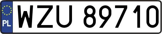 WZU89710