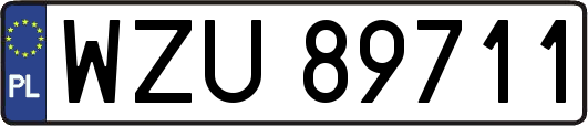 WZU89711