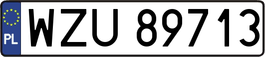 WZU89713