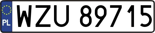 WZU89715