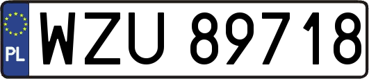 WZU89718