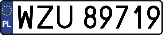 WZU89719