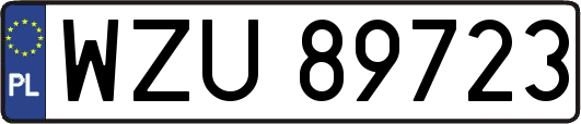 WZU89723