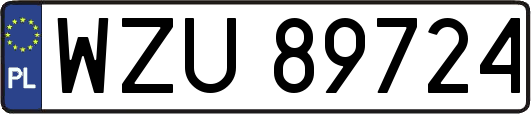WZU89724