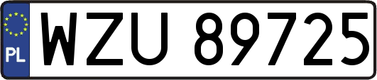 WZU89725