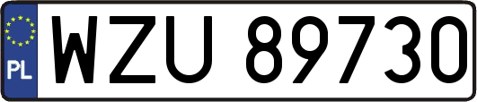 WZU89730