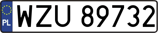 WZU89732