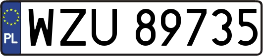 WZU89735