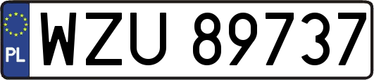 WZU89737