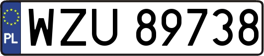 WZU89738