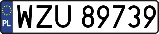WZU89739