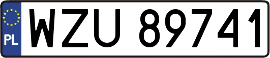 WZU89741