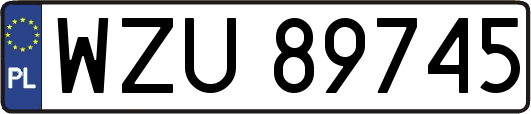 WZU89745