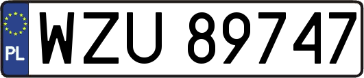 WZU89747