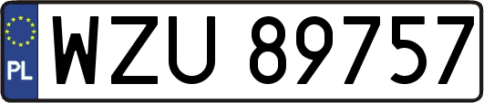 WZU89757