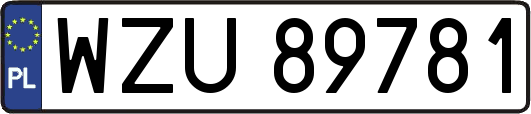 WZU89781