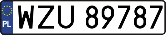 WZU89787