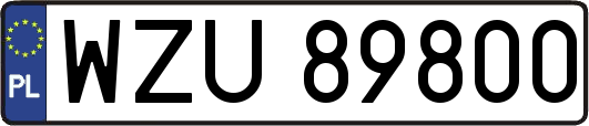 WZU89800