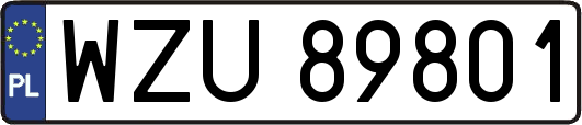 WZU89801