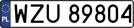WZU89804