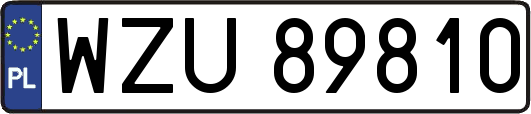 WZU89810